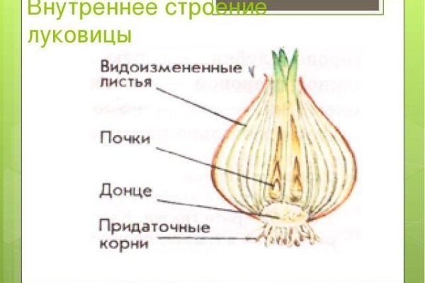 Блэкспрут магазин отзывы