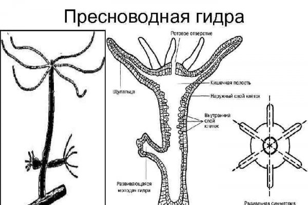 Предзаказ на меге что это