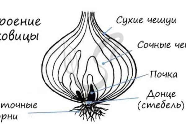 Кракен торговая площадка даркнет