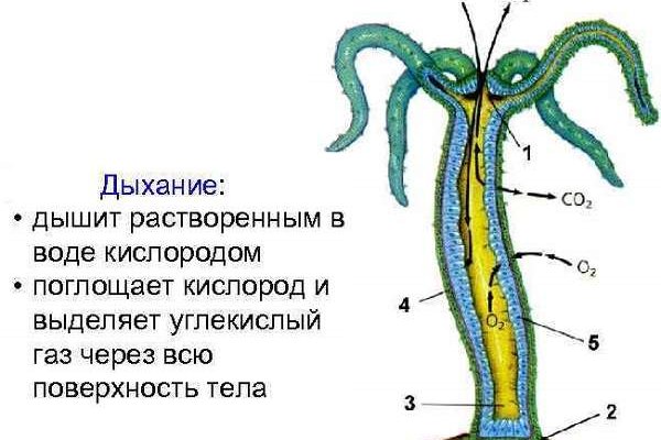 Омг интернет магазин закладки