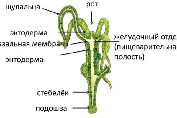 Онион сайты список 2023